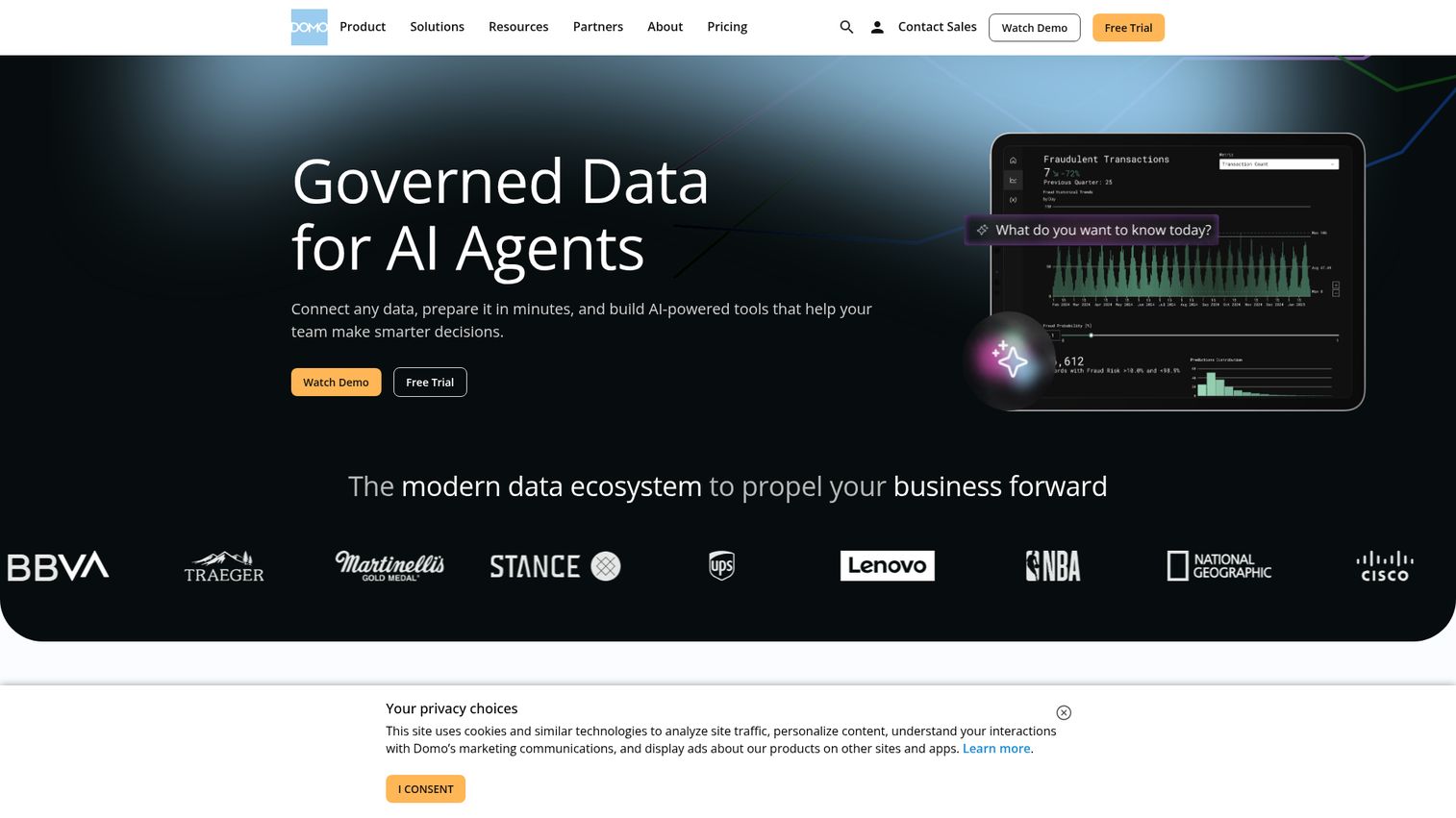 Domo homepage