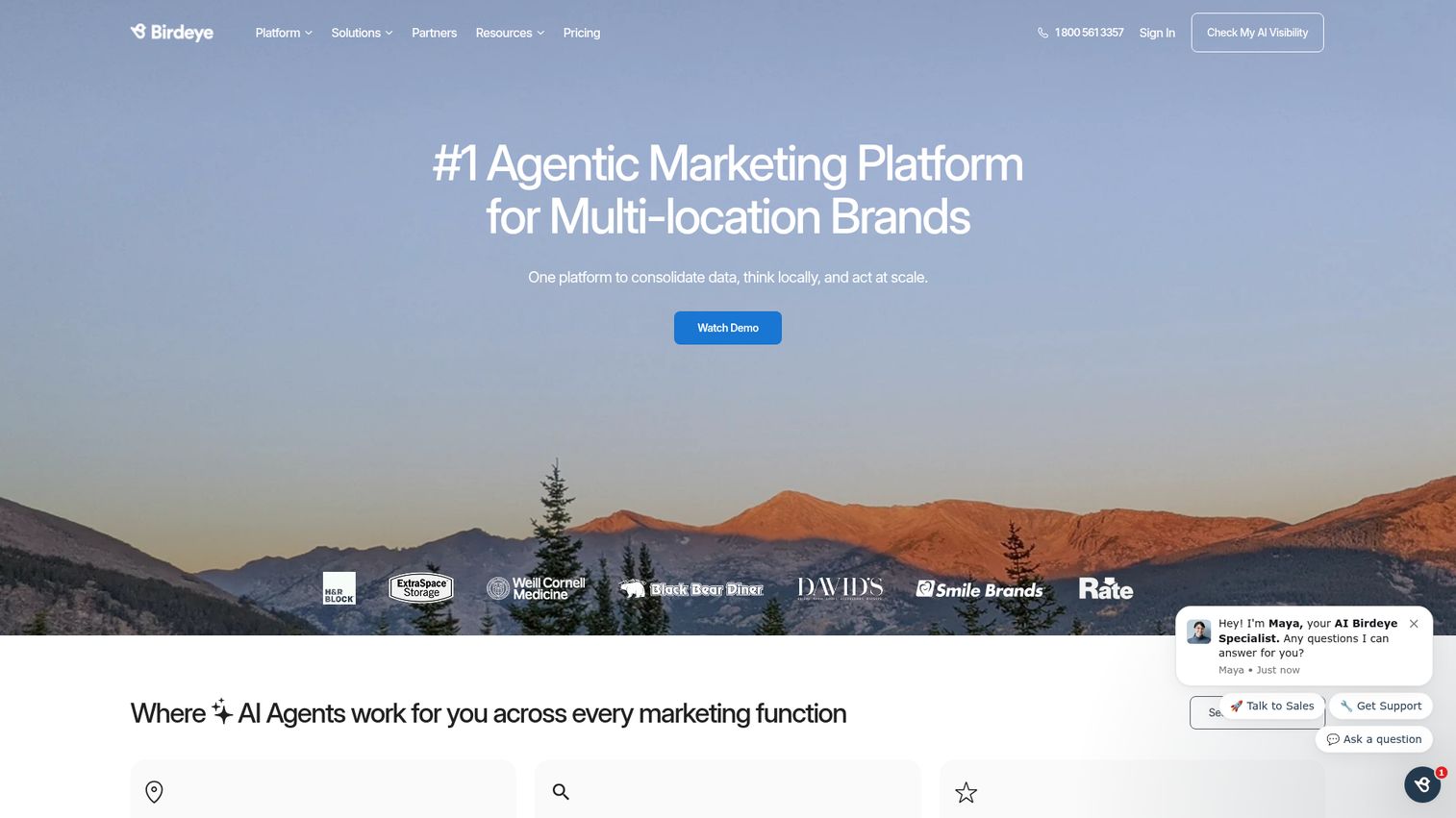Birdeye homepage