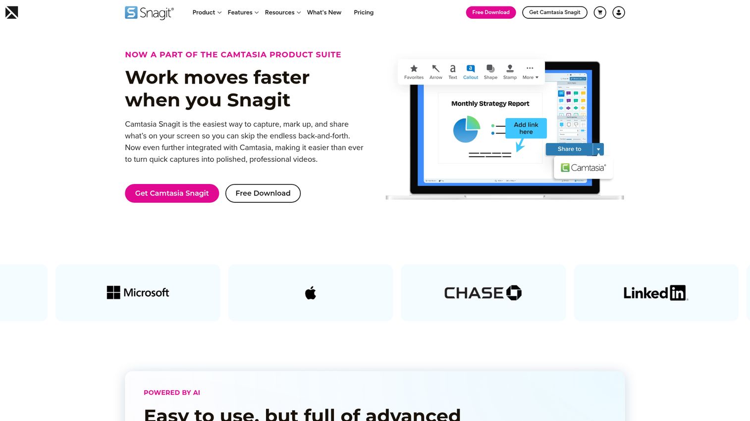 Snagit screen capture and markup interface