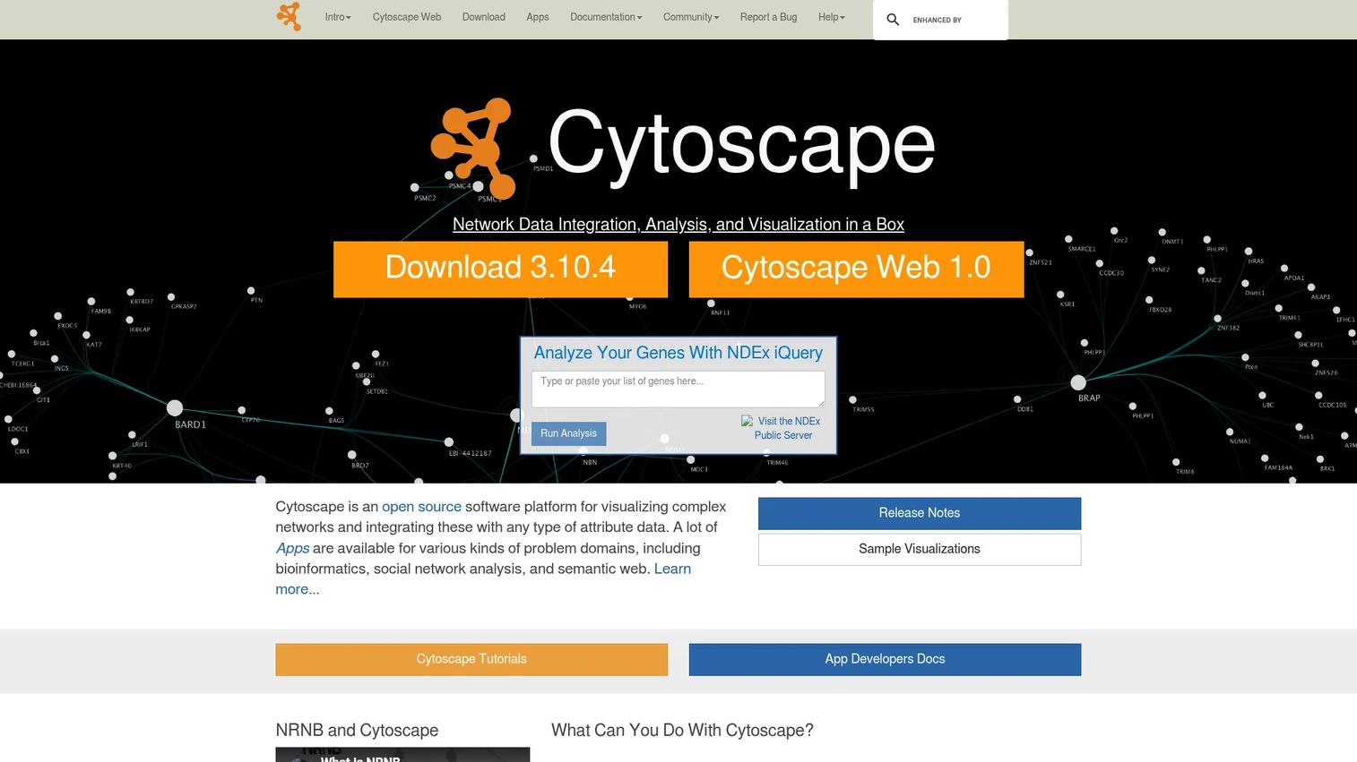Cytoscape network analysis interface