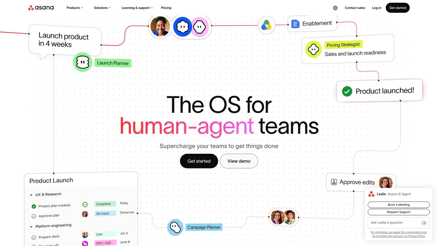 Asana work management interface