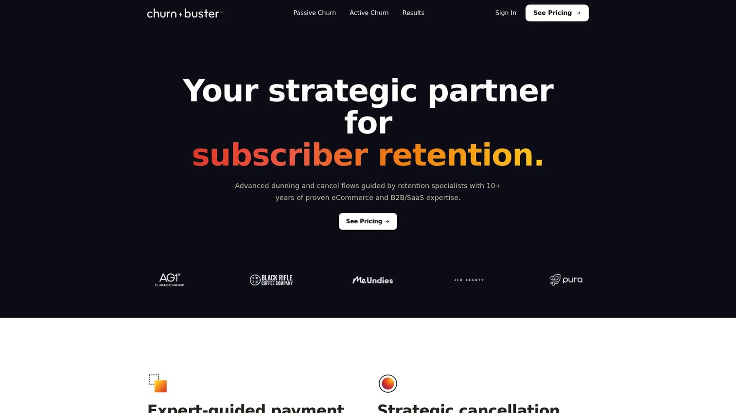 Churn Buster failed payment recovery software