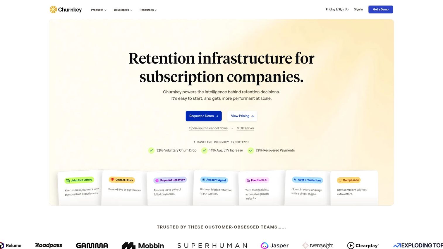 ChurnKey retention and payment recovery software