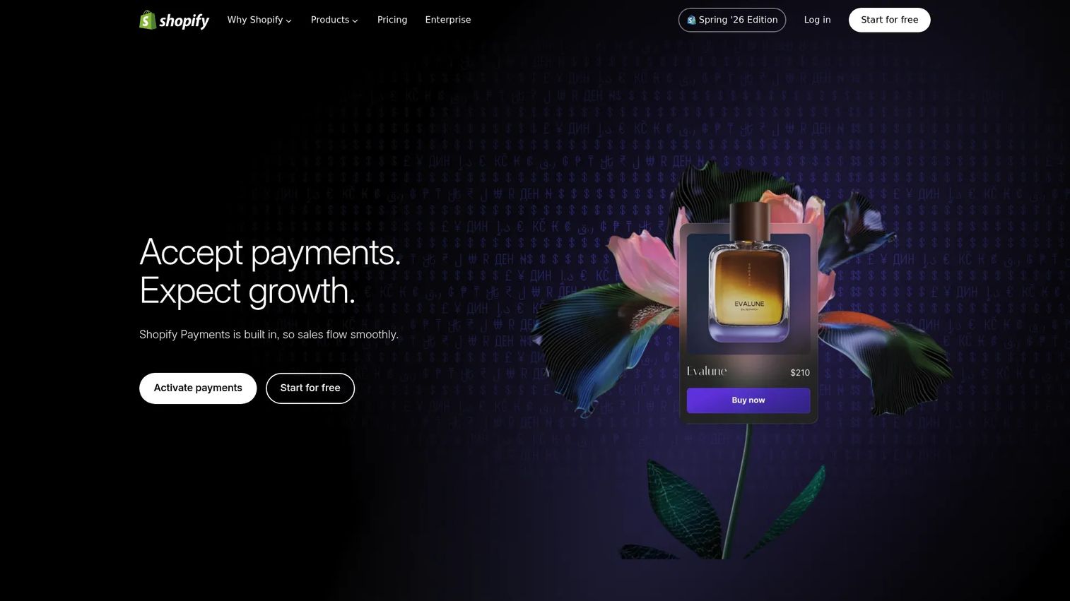 Shopify Payments homepage