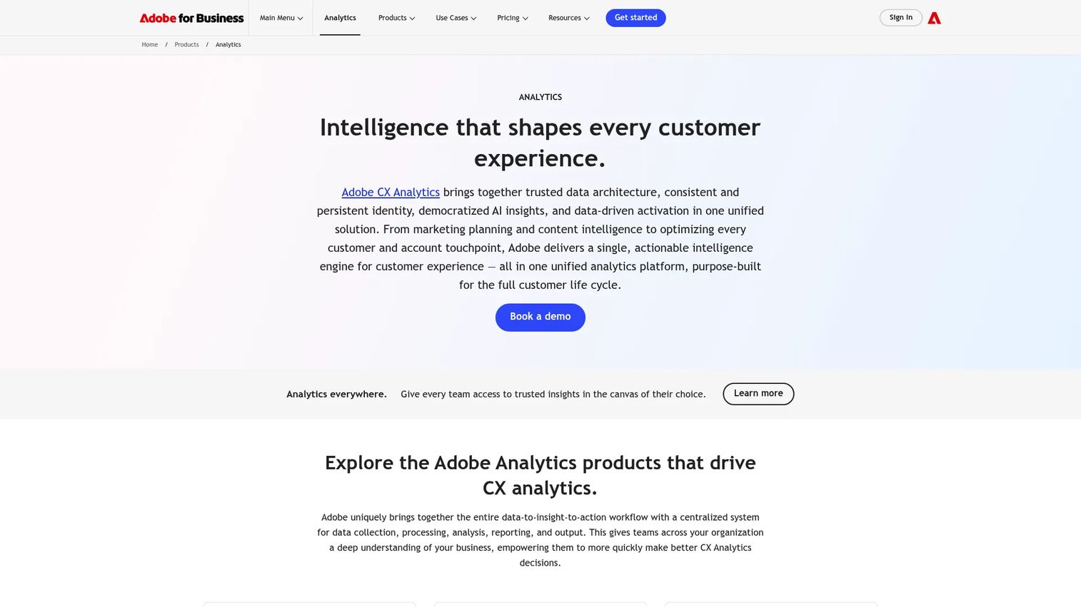 Adobe Analytics segmentation view