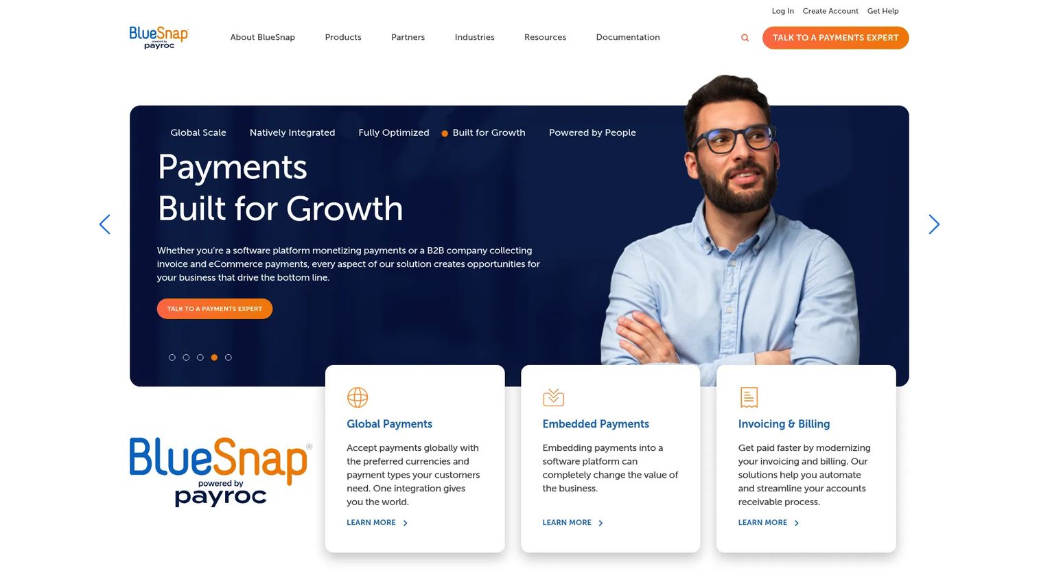 BlueSnap payment platform homepage
