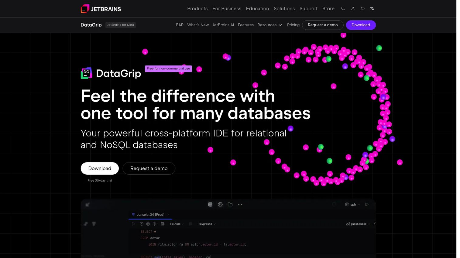 JetBrains DataGrip database IDE