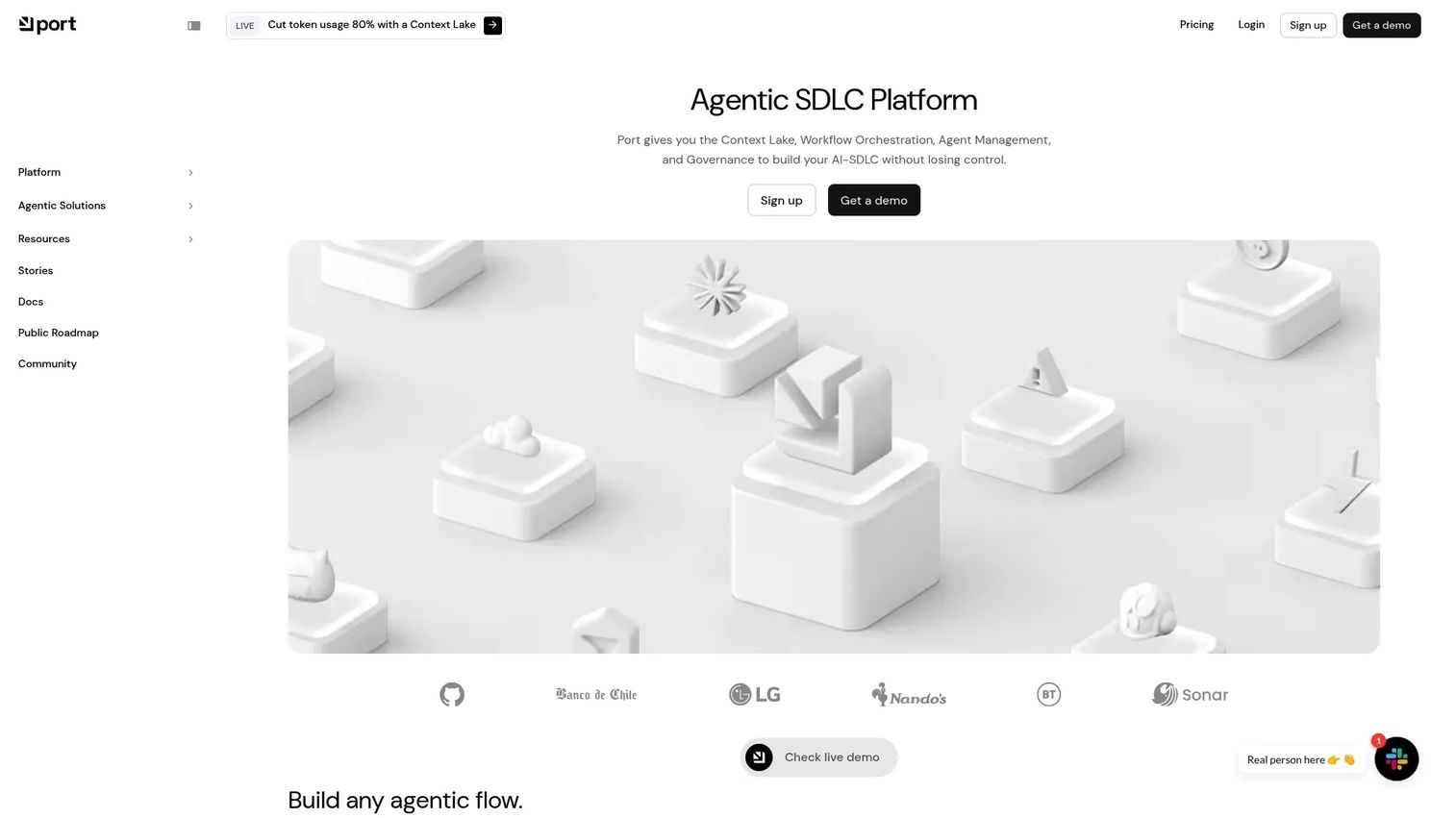 Port developer portal and software catalog interface