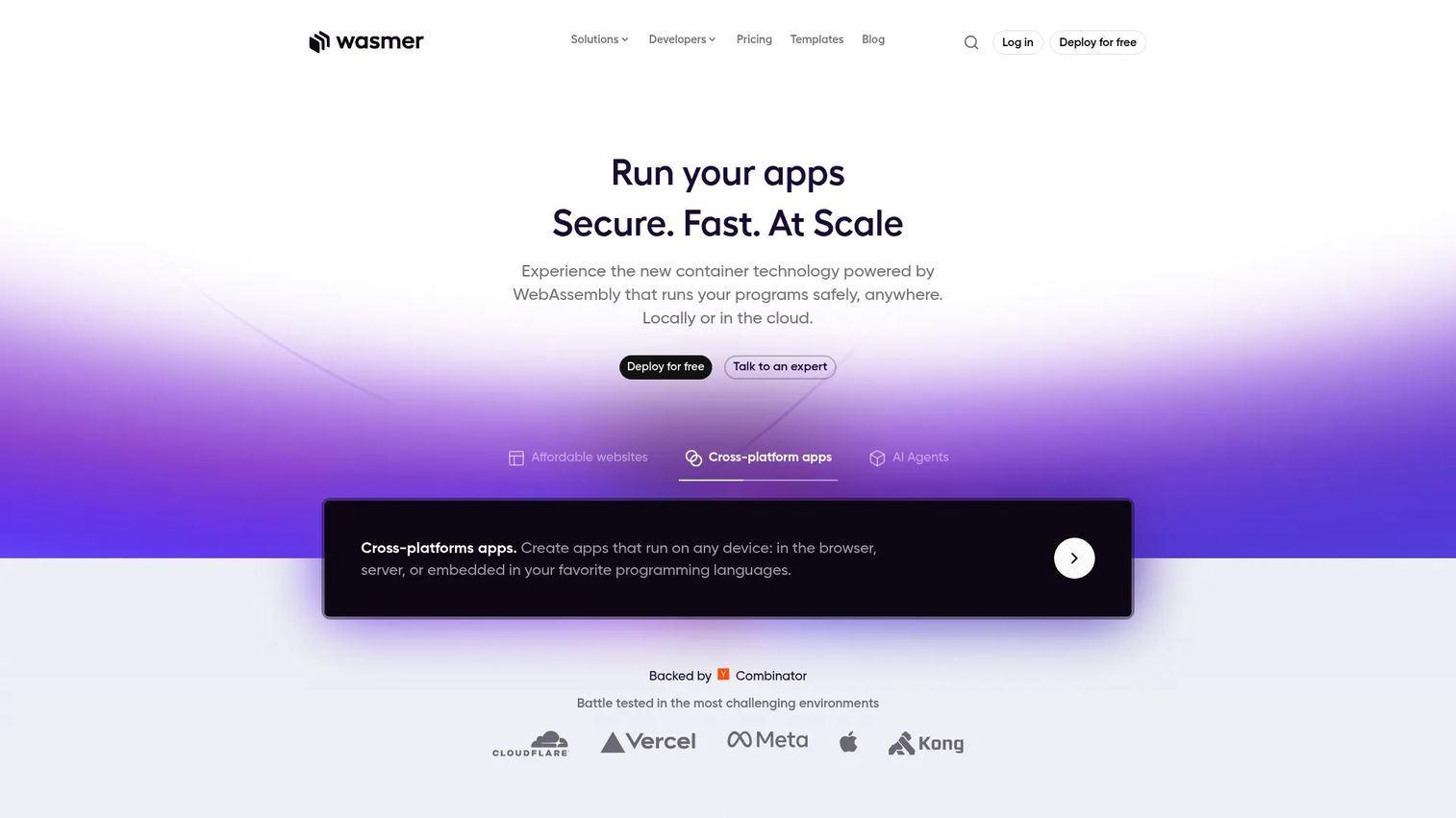 Wasmer hosting homepage