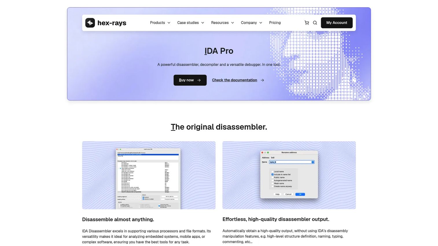 IDA Pro reverse engineering interface