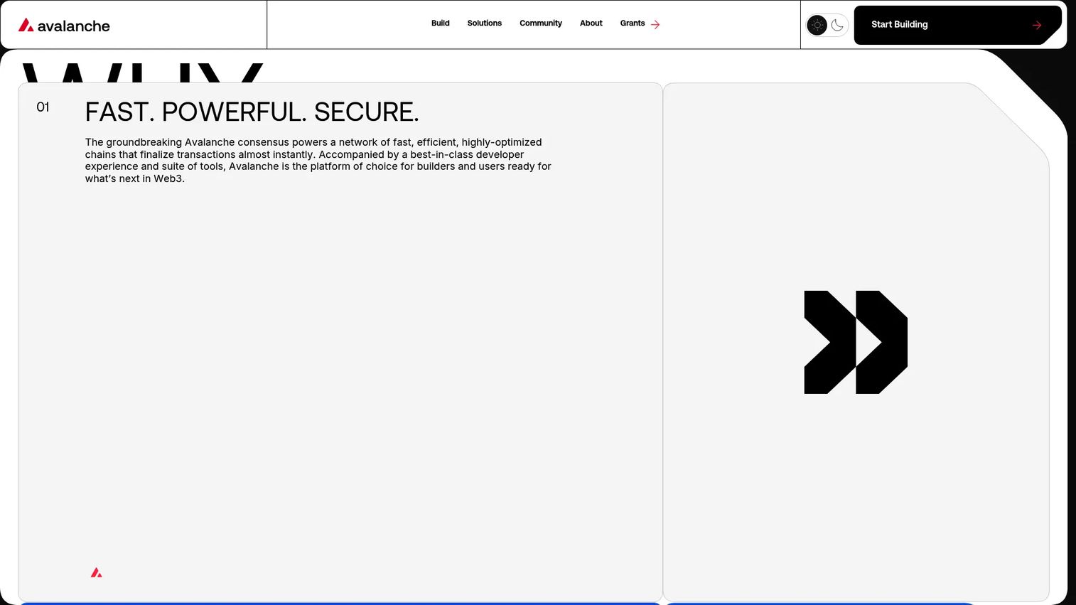 Avalanche blockchain platform homepage