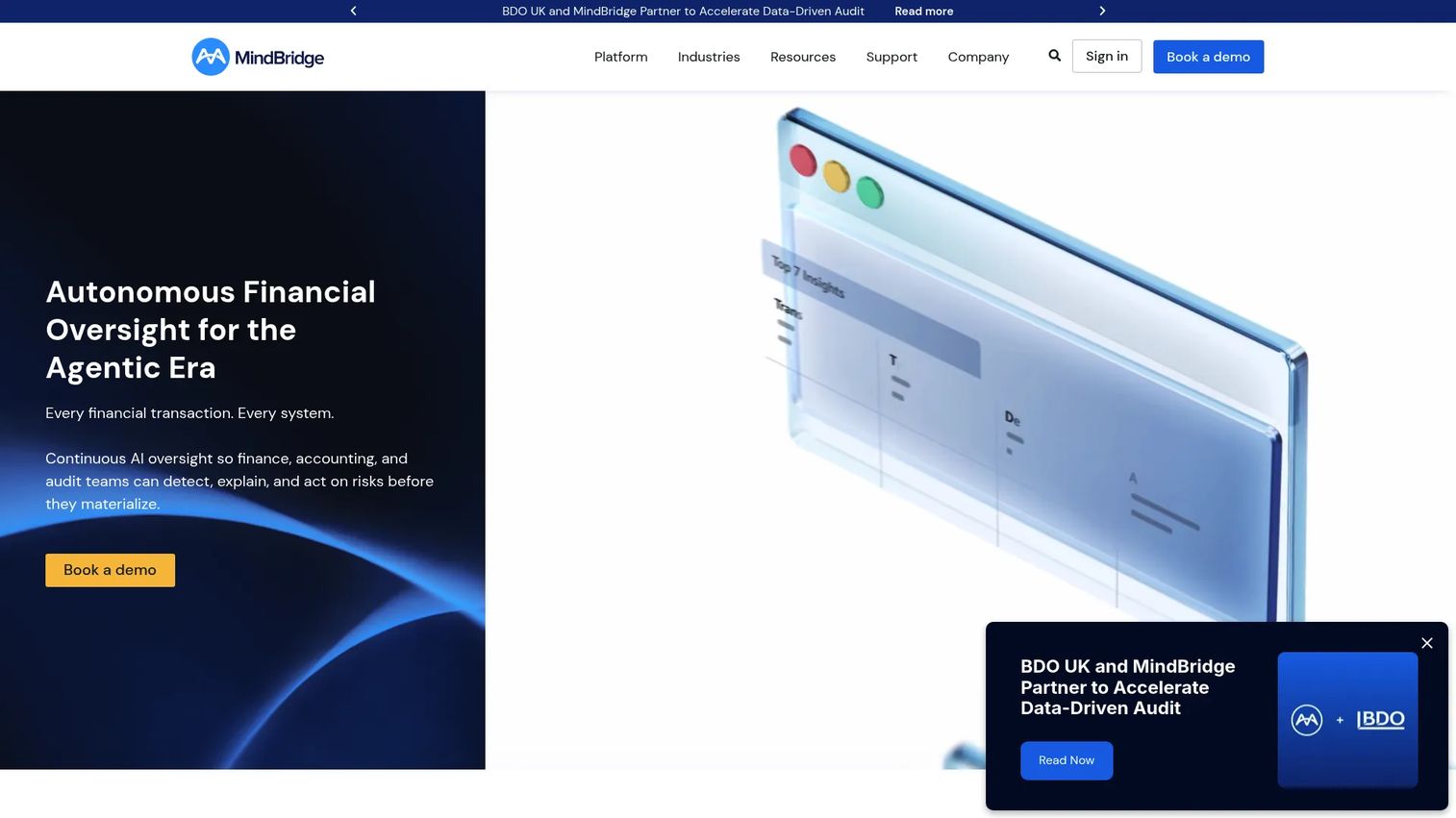 MindBridge AI audit analytics interface
