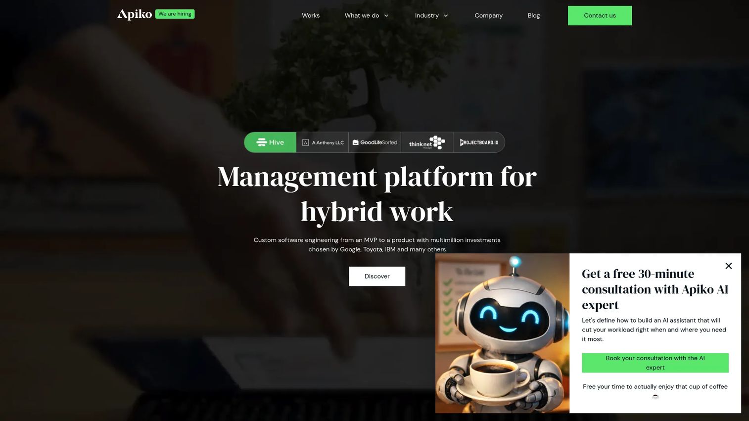 Apiko custom software development
