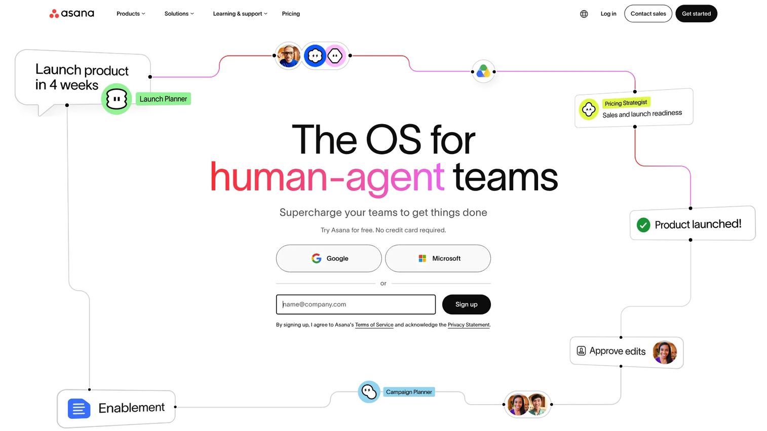 Asana project board and timeline view for work coordination