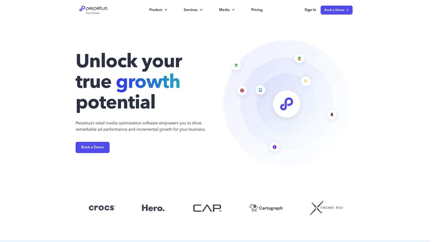 Perpetua marketplace advertising dashboard for Amazon and retail media campaign optimization