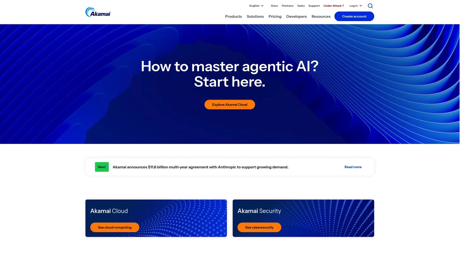 Akamai API Security product screen for API discovery and protection