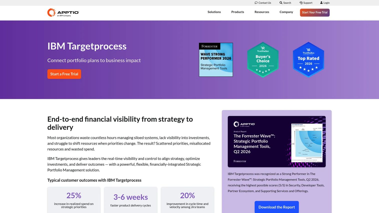 IBM Targetprocess portfolio planning view