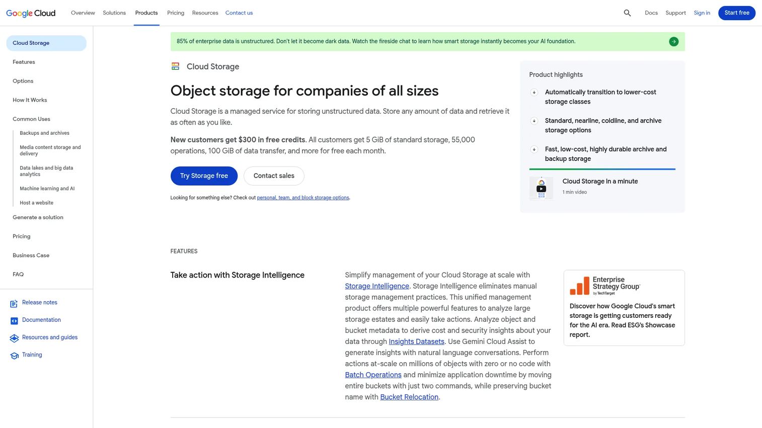 Google Cloud Archive Storage class for long-term object retention