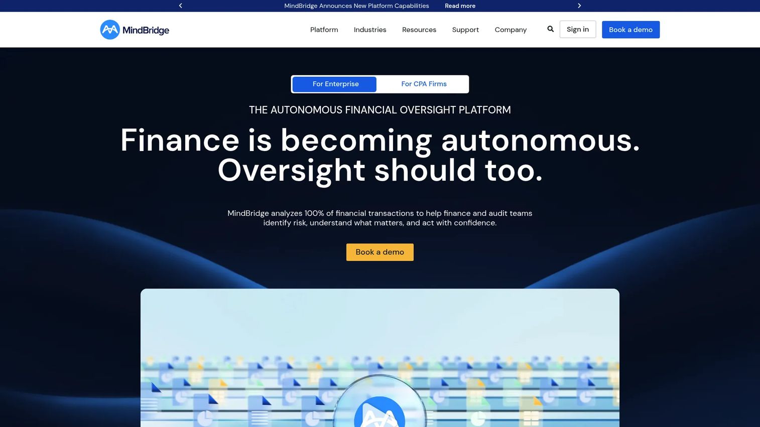 MindBridge AI audit analytics interface