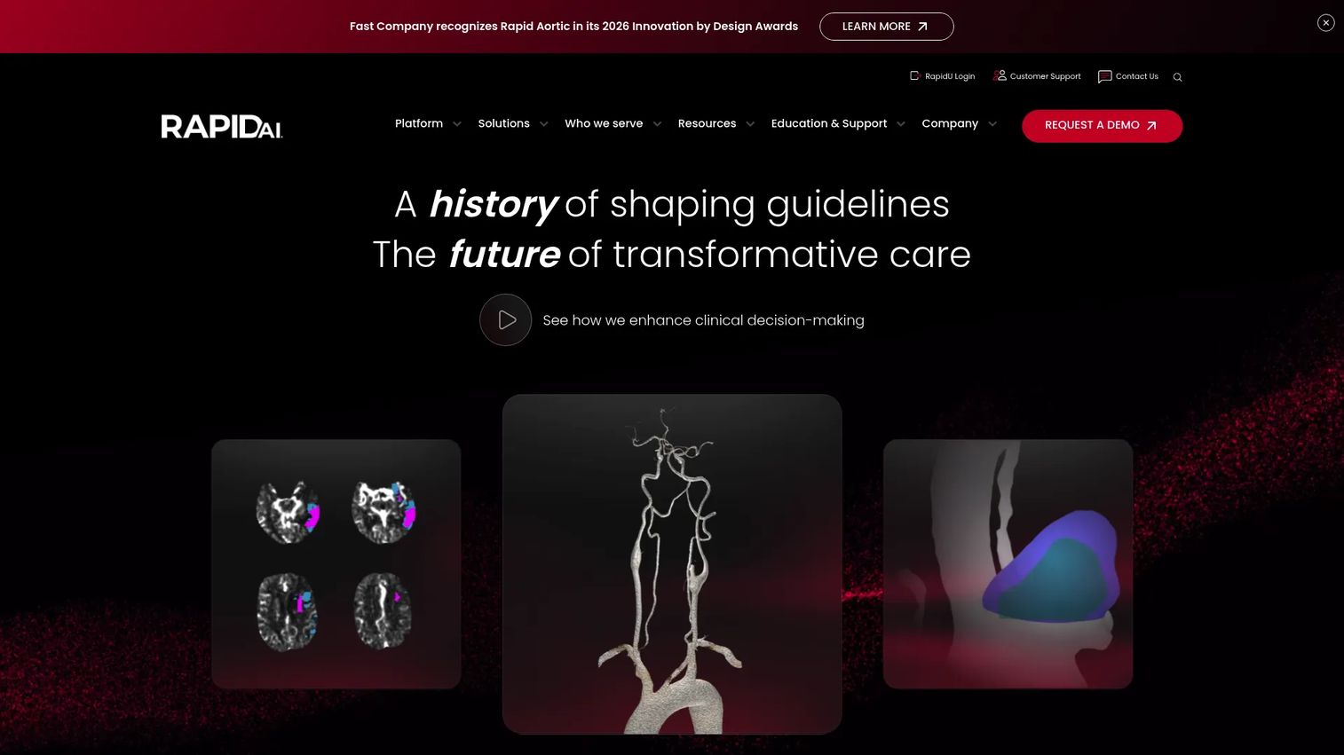 RapidAI homepage screenshot
