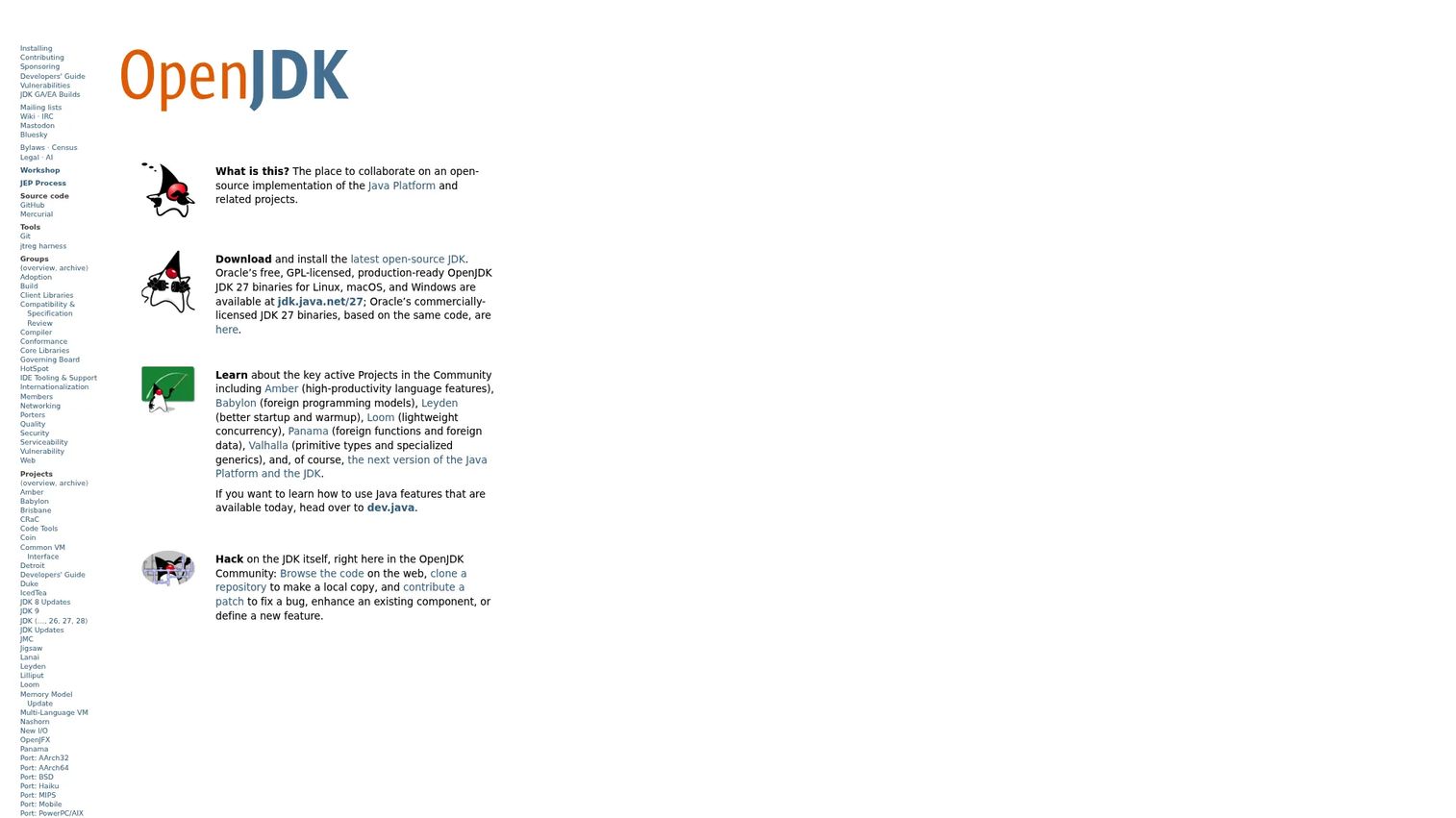 OpenJDK homepage showing the open-source Java Virtual Machine and bytecode execution environment