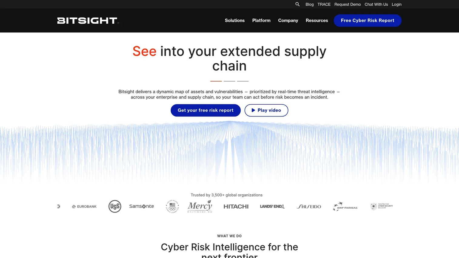 Bitsight third-party risk management security ratings