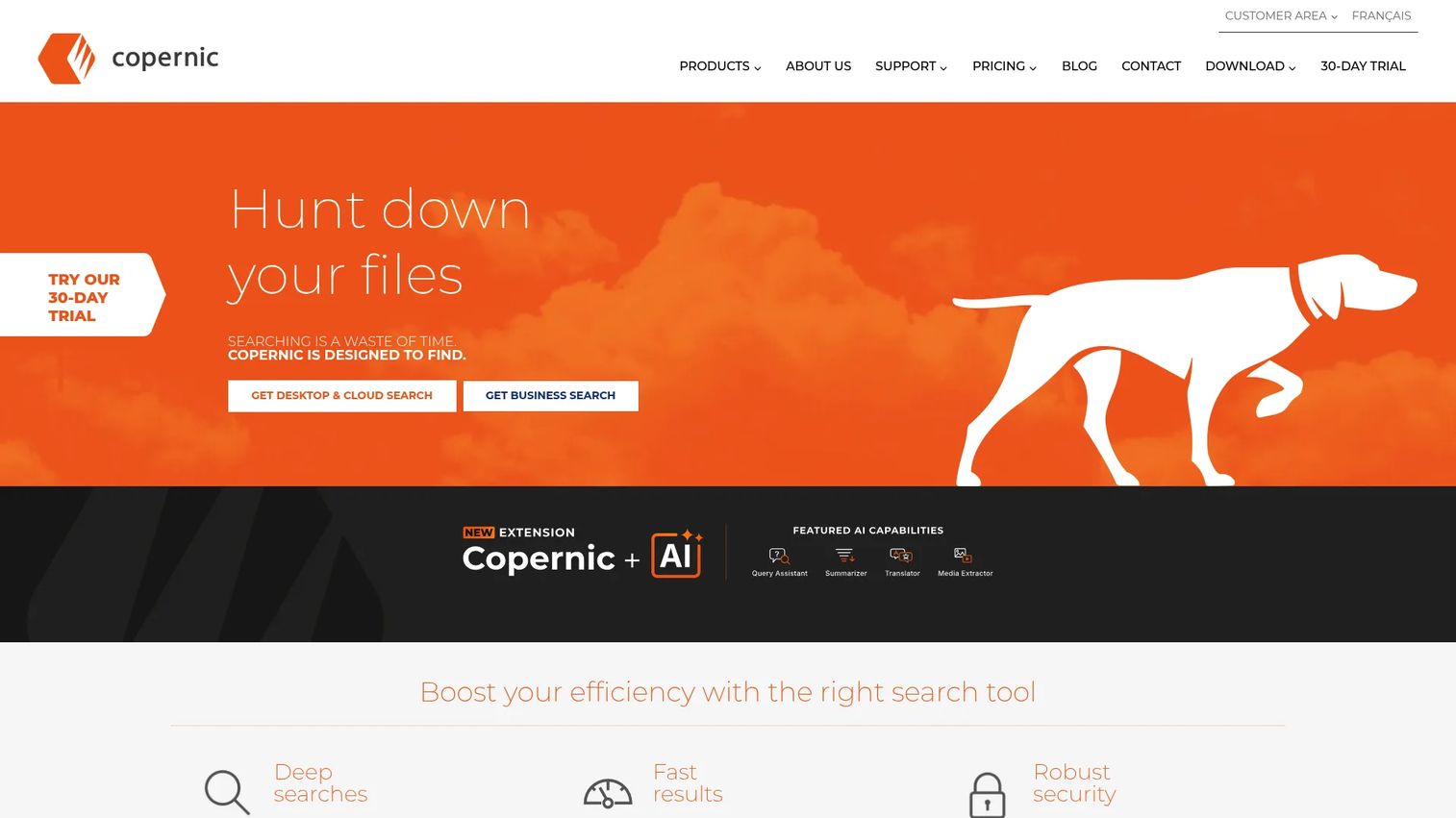 Copernic Desktop Search interface with file and email results