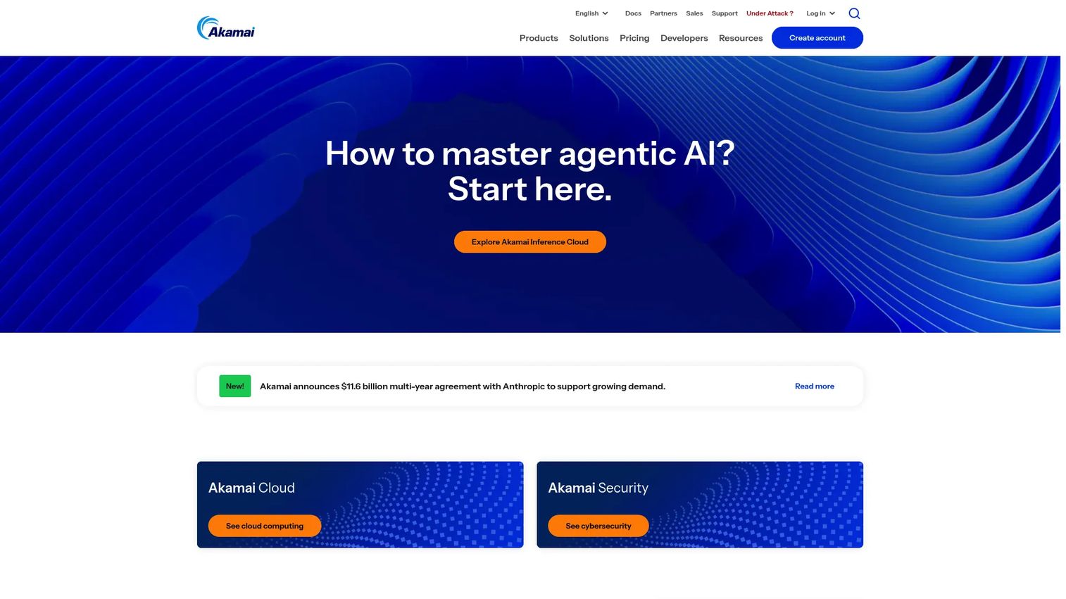 Akamai web acceleration platform for global application delivery