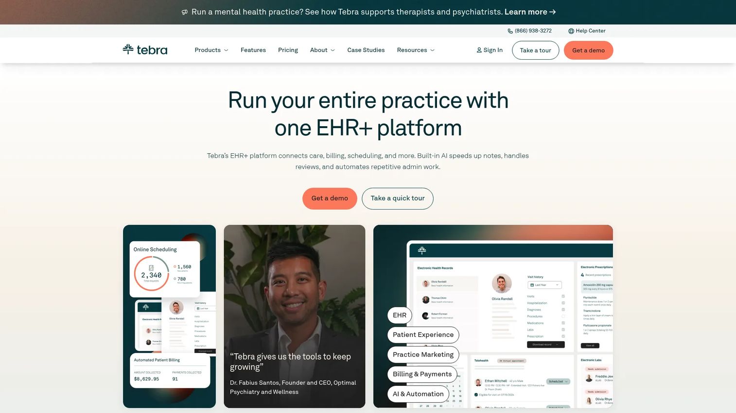 Tebra homepage screenshot