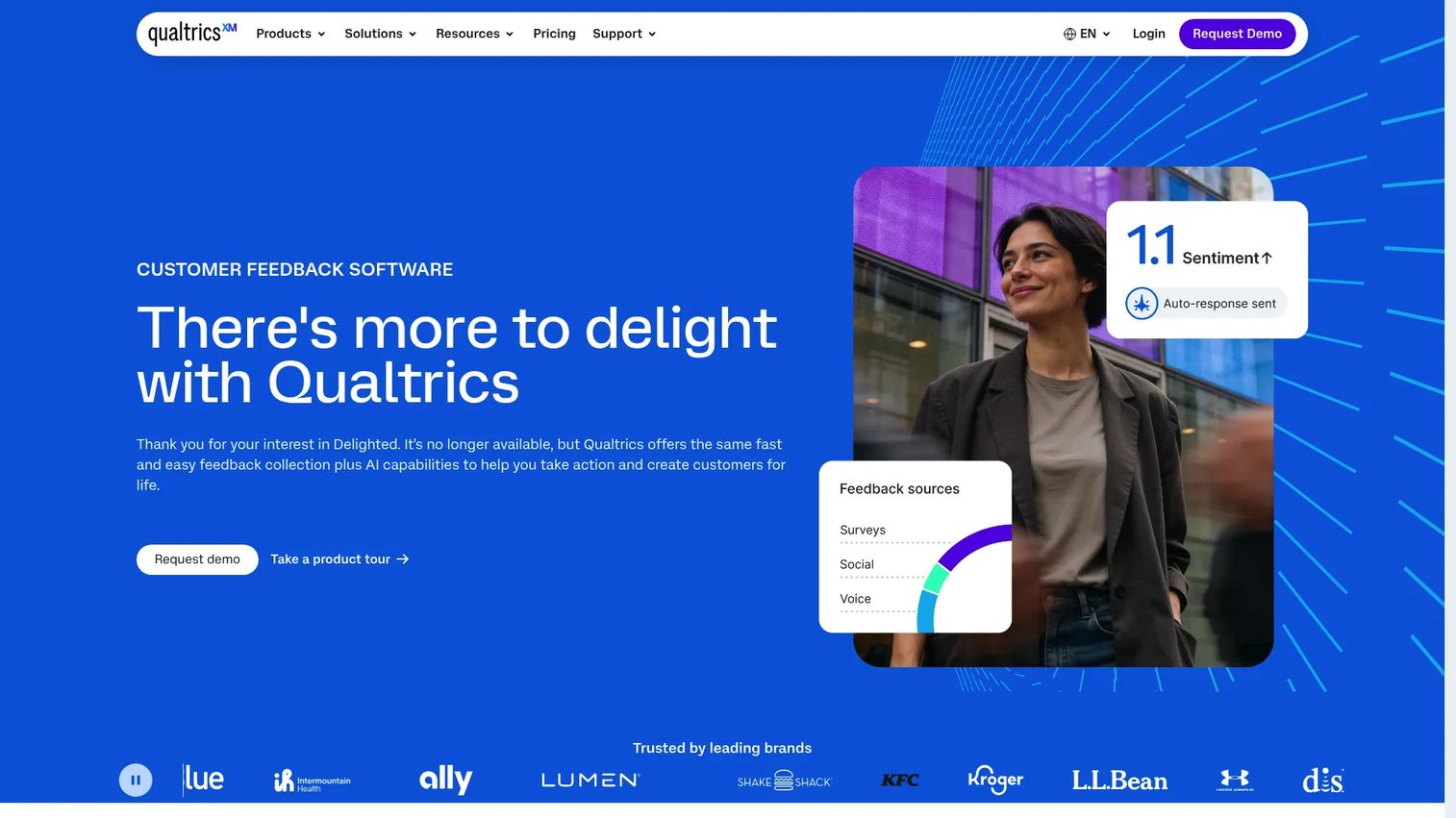 Delighted customer experience feedback platform homepage