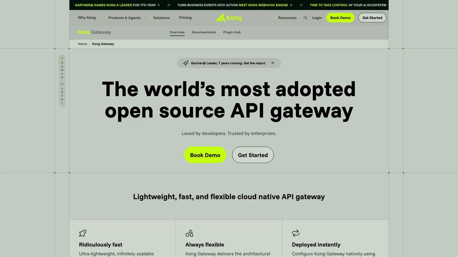 Kong Gateway managing API traffic, authentication, and routing for backend services