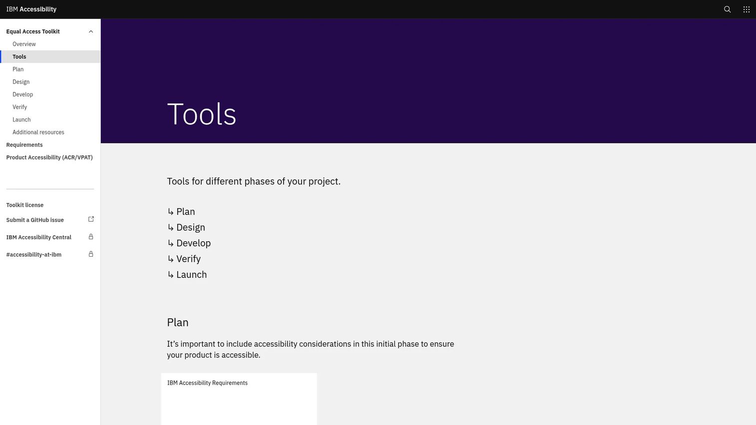 IBM Equal Access Accessibility Checker showing automated accessibility test findings