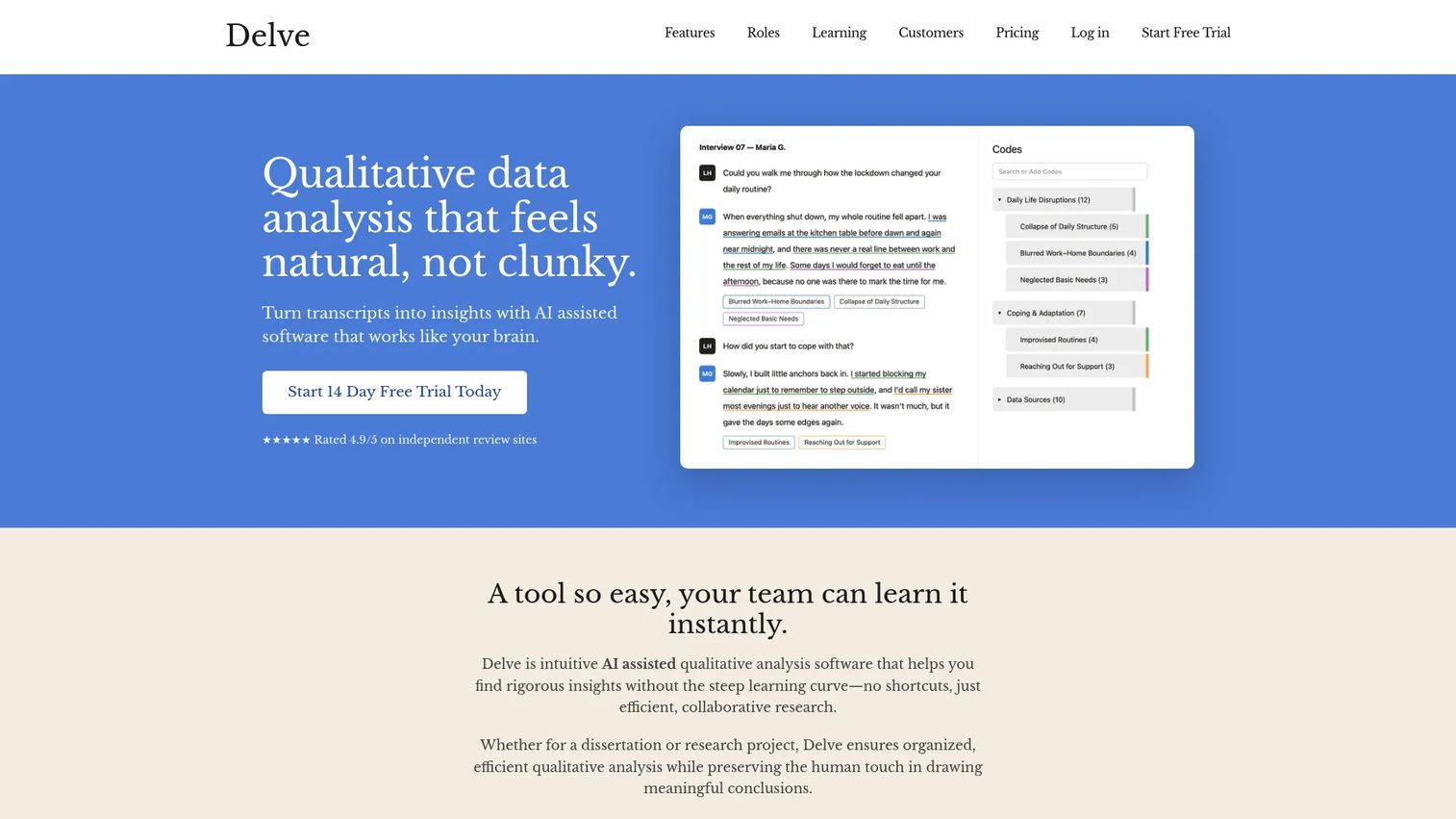 Delve qualitative research coding workspace