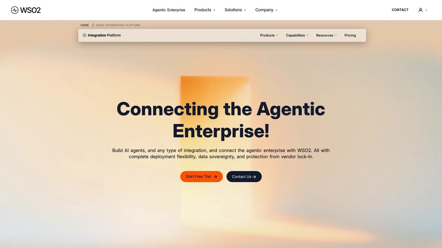 WSO2 Enterprise Integrator API and service integration flow