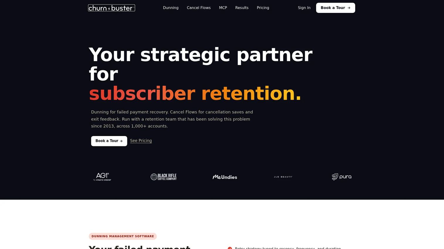 Churn Buster payment update page