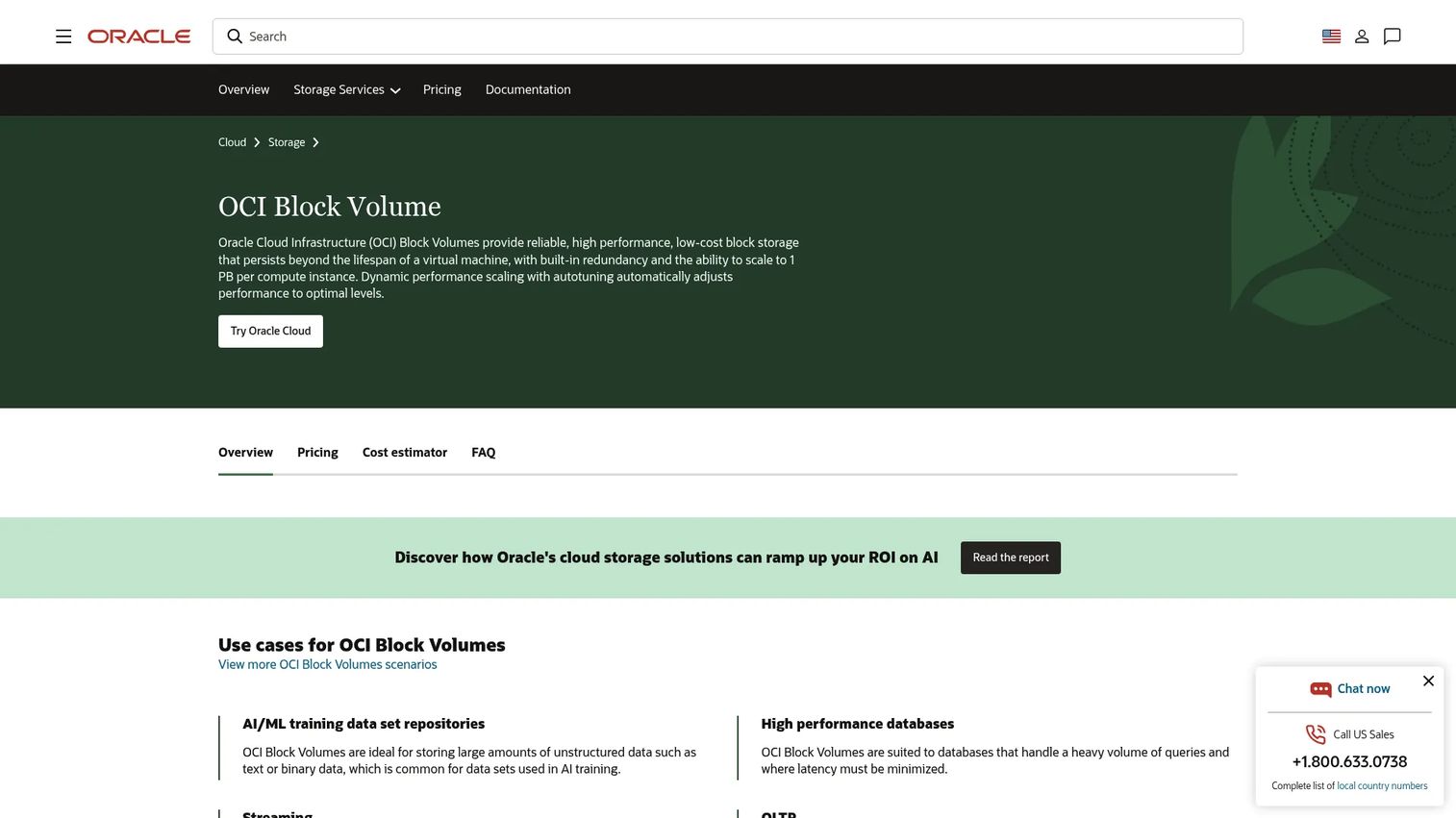 Oracle Cloud Infrastructure Block Volume attached to a compute instance.