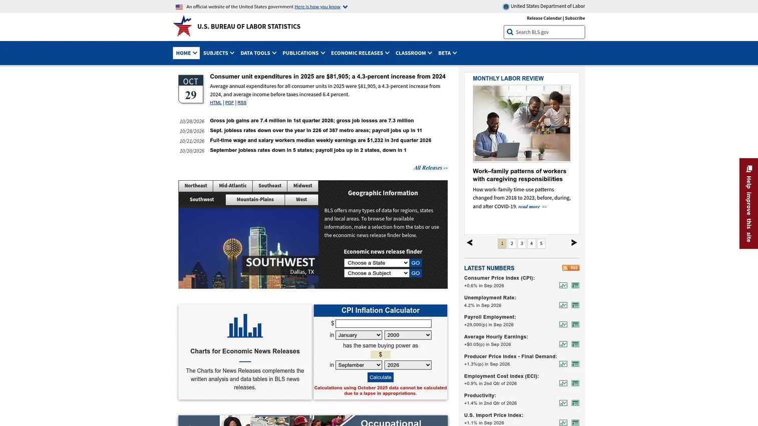 Bureau of Labor Statistics market research analyst profile