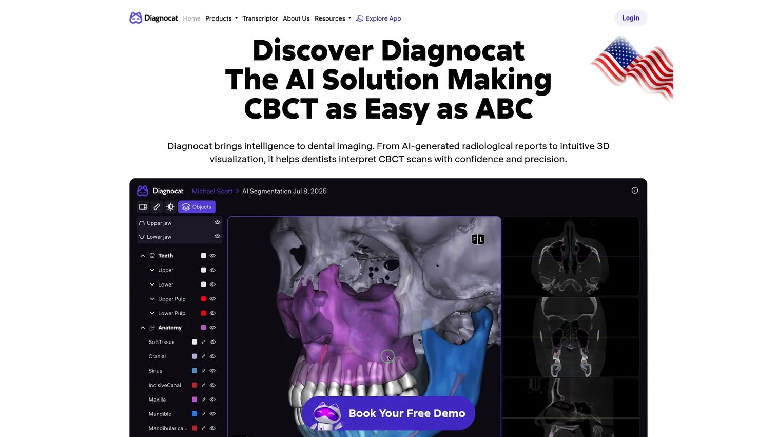 Diagnocat AI dental imaging analysis software